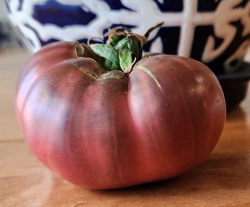 heair tomat by 1.jpg